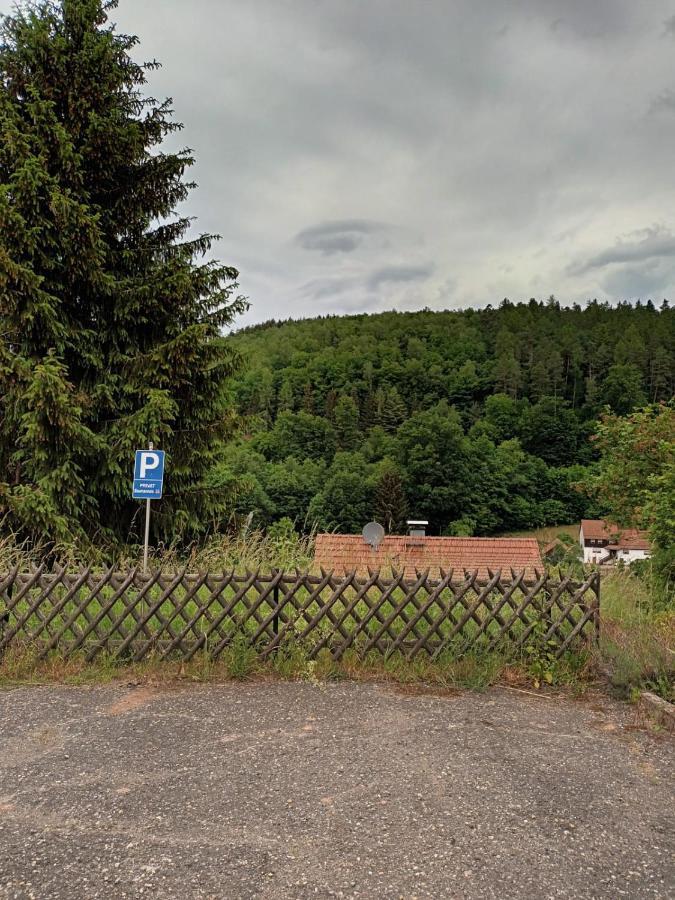 Family House Apartment Eberbach  Exterior foto